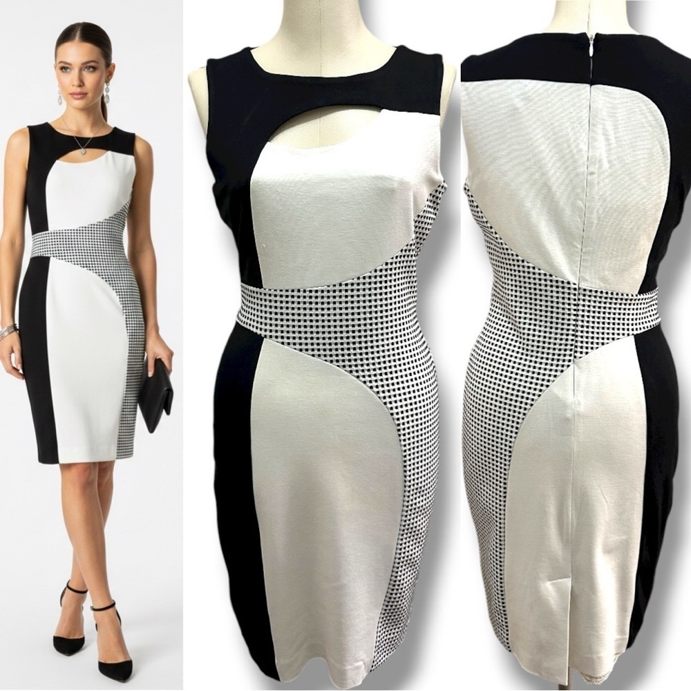 417 Patrizia Luca |NWOT Milano Black & White Colorblock Sheath Dress (size XS-S)